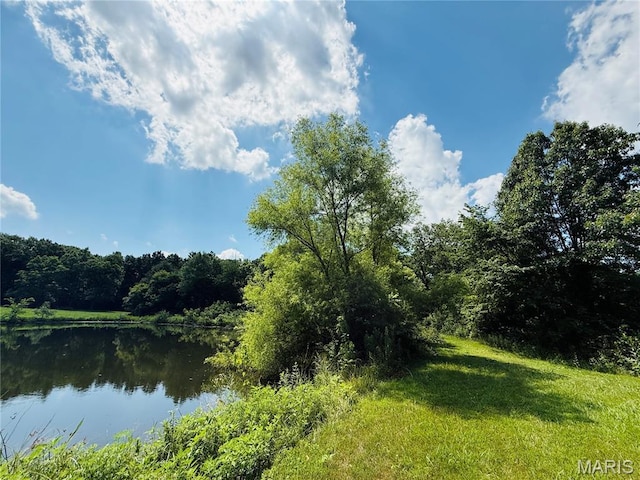 2076 Carter Rd, Coulterville, IL 62237 - photo 6