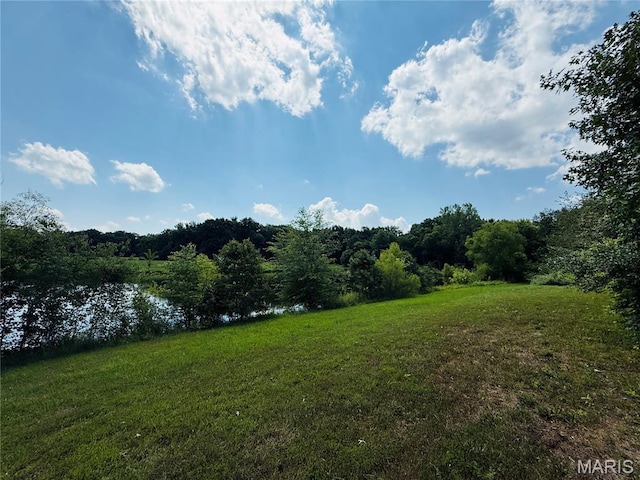 2076 Carter Rd, Coulterville, IL 62237 - photo 8