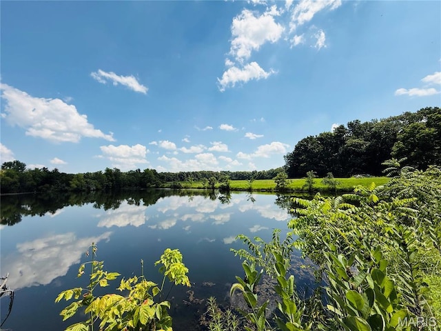 2076 Carter Rd, Coulterville, IL 62237 - photo 9