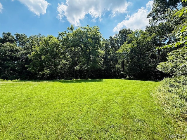 2076 Carter Rd, Coulterville, IL 62237 - photo 10