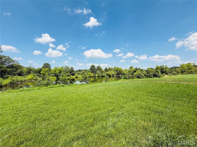 2076 Carter Rd, Coulterville, IL 62237 - photo 11