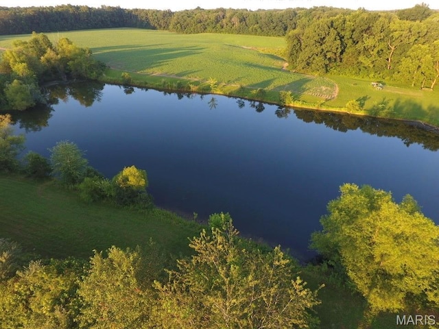 2076 Carter Rd, Coulterville, IL 62237 - photo 13