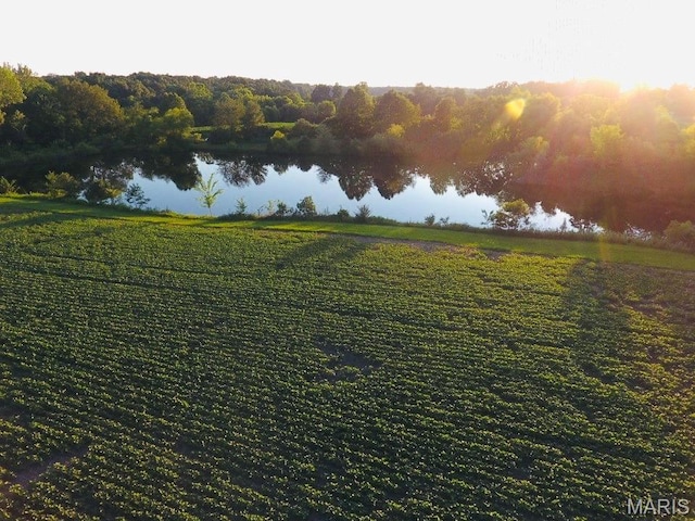 2076 Carter Rd, Coulterville, IL 62237 - photo 14