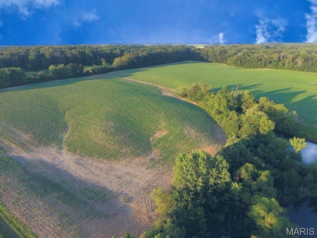 2076 Carter Rd, Coulterville, IL 62237 - photo 20