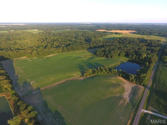2076 Carter Rd, Coulterville, IL 62237 - photo 28
