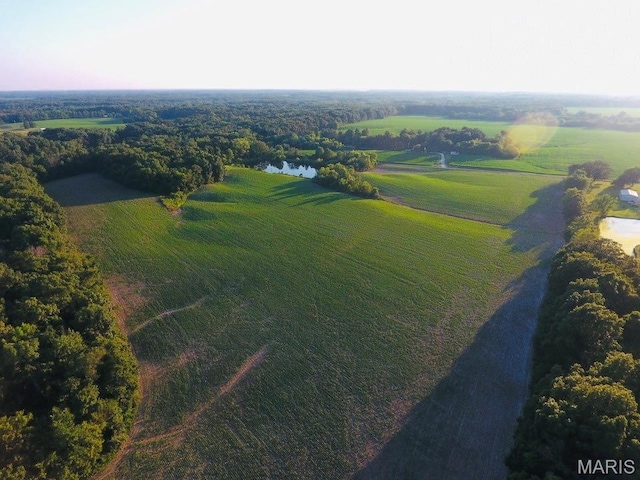 2076 Carter Rd, Coulterville, IL 62237 - photo 29