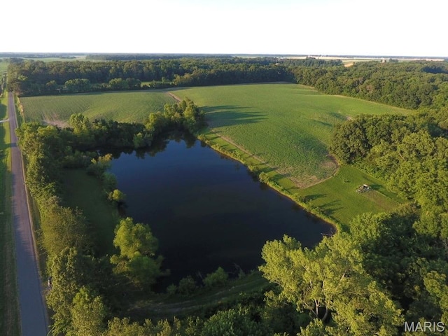 2076 Carter Rd, Coulterville, IL 62237 - photo 31