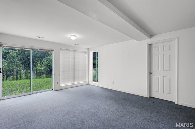 16038 Pierside Ln, Ellisville, MO 63021 - photo 28