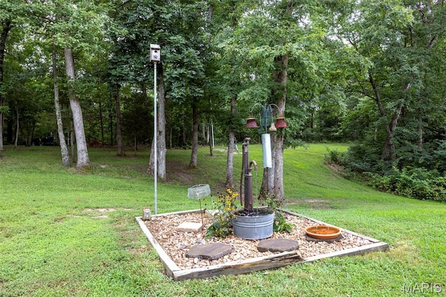 610 W Highway N, Wentzville, MO 63385 - photo 35