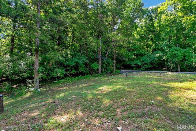 400 Maple Hollow Trl, Eureka, MO 63025 - photo 31