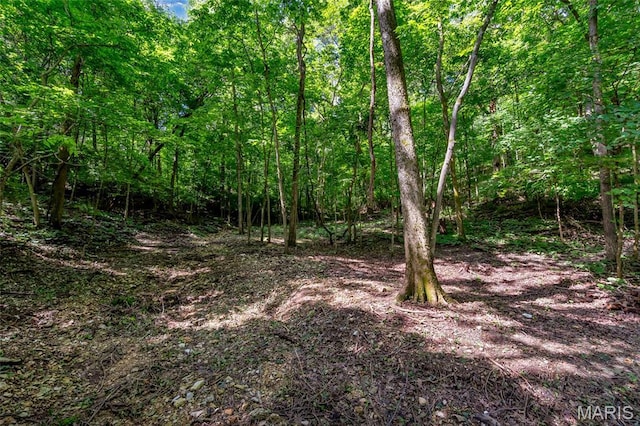 400 Maple Hollow Trl, Eureka, MO 63025 - photo 37