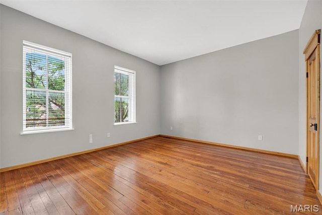 1232 Sidney St, Saint Louis, MO 63104 - photo 14