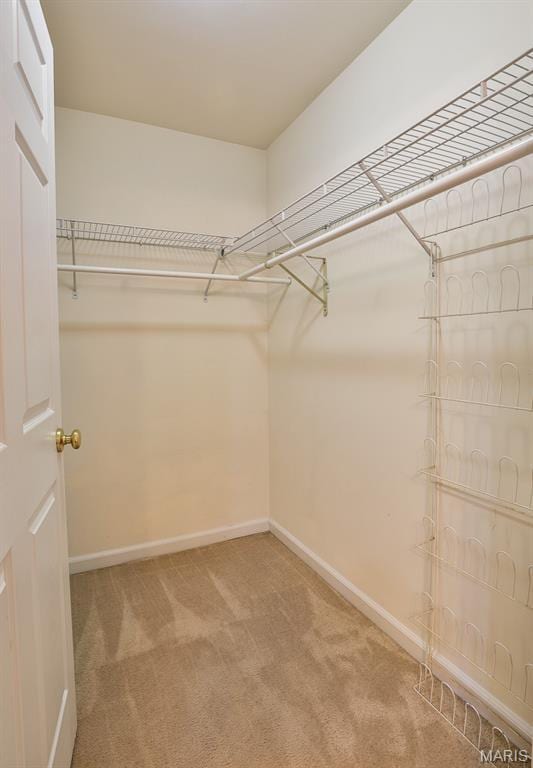 168 Brandy Mill Cir Unit 5B, High Ridge, MO 63049 - photo 17