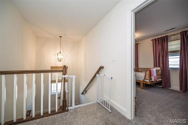 1319 Simmons Ave, Saint Louis, MO 63122 - photo 21