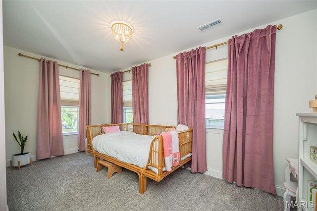 1319 Simmons Ave, Saint Louis, MO 63122 - photo 24
