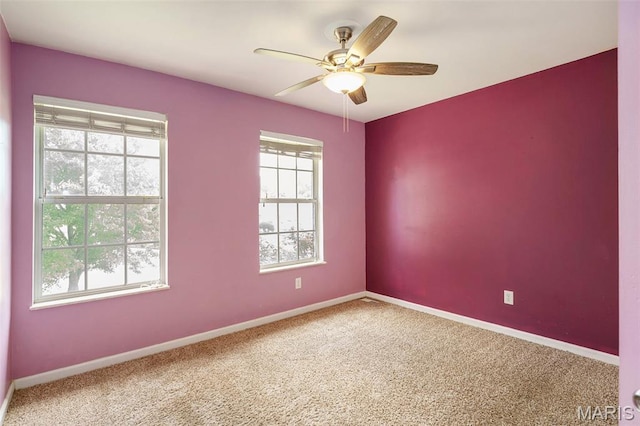 13538 Paddock Ridge Ct, Florissant, MO 63033 - photo 20