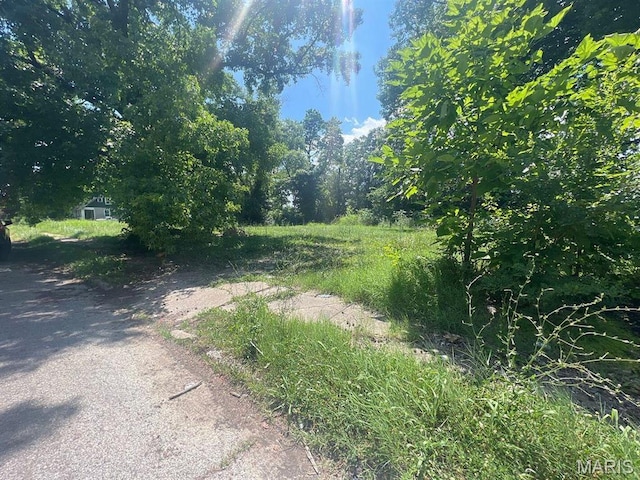1342 N 41st St E, St Louis, IL 62204 - photo 1
