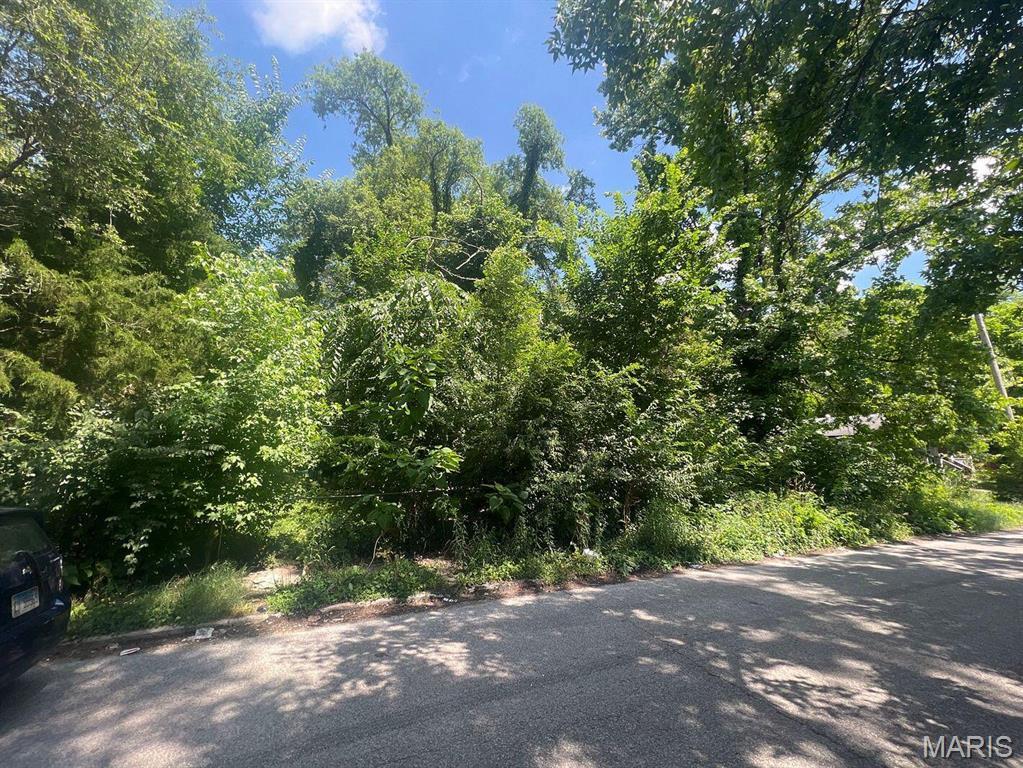 1342 N 41st St E, St Louis, IL 62204 - photo 2