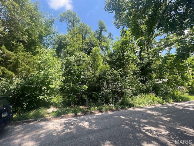 1342 N 41st St E, St Louis, IL 62204 - photo 2