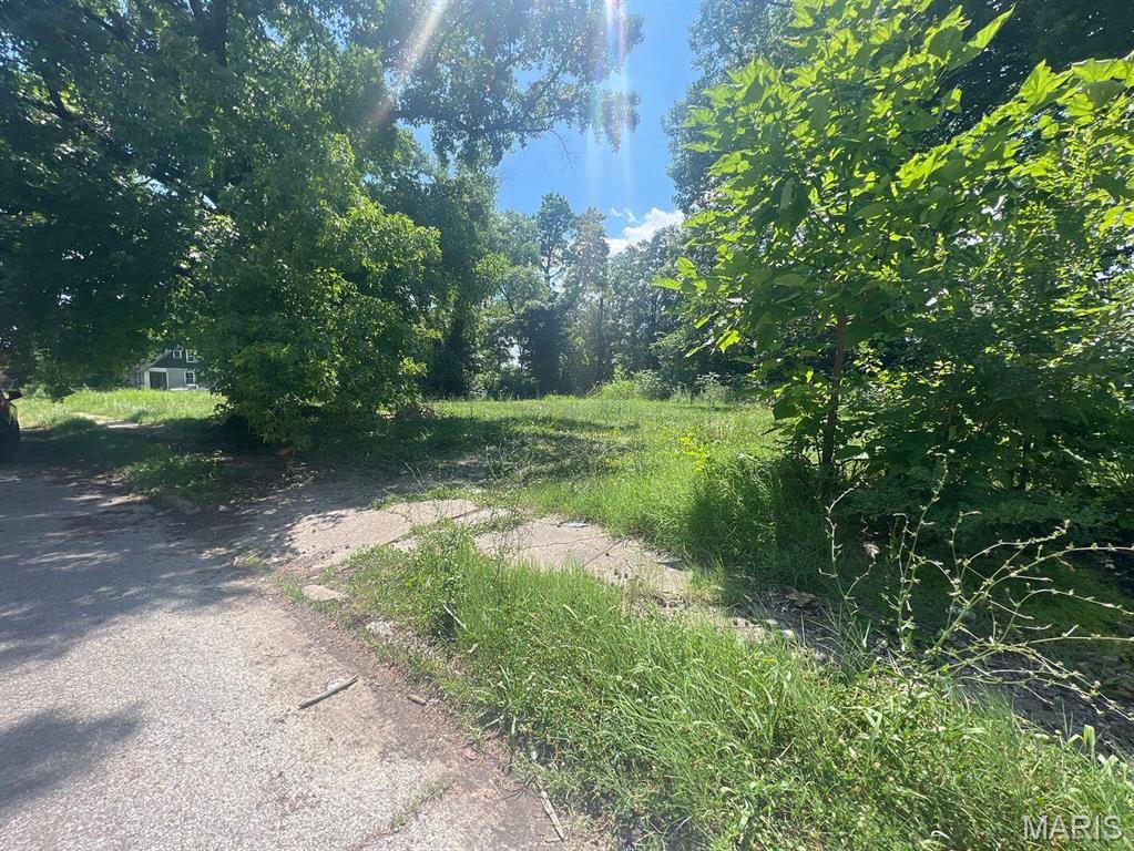 1342 N 41st St E, St Louis, IL 62204 - photo 4