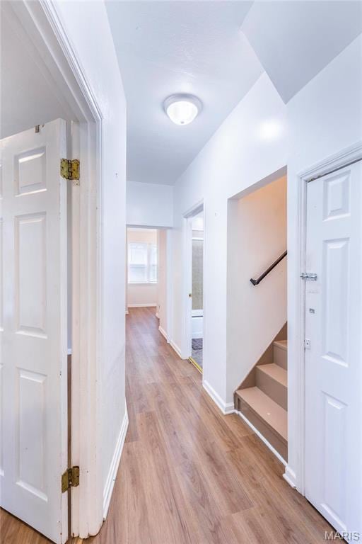 3848 Eiler, Saint Louis, MO 63116 - photo 13