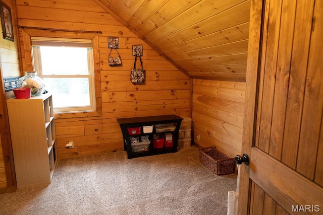 550 Ripley 160e-30 Rd Unit 160-30, Naylor, MO 63953 - photo 47