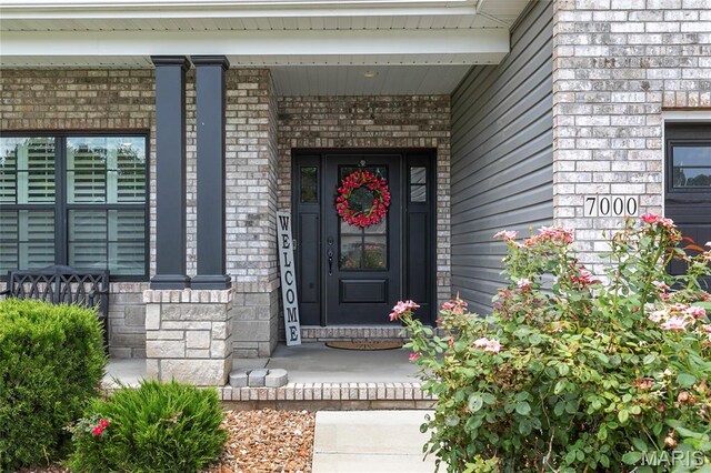 7000 Windstar Ct, Ofallon, IL 62269 - photo 7