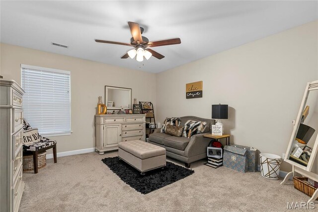 7000 Windstar Ct, Ofallon, IL 62269 - photo 29