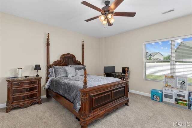 7000 Windstar Ct, Ofallon, IL 62269 - photo 35