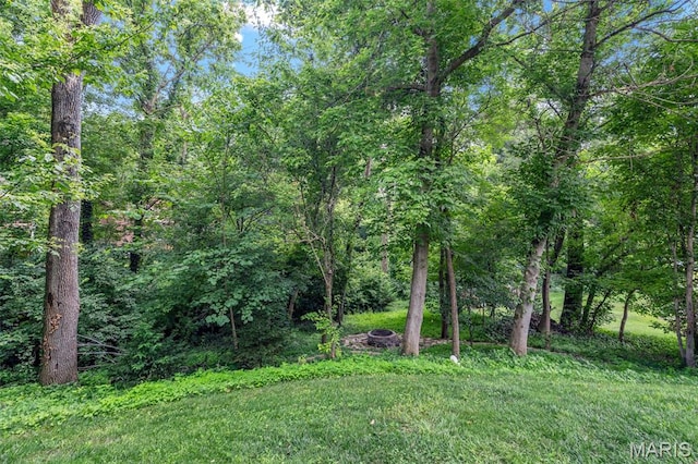 714 Peachtree Trl, Collinsville, IL 62234 - photo 32