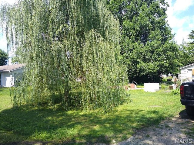 509 Main St, Prairie Du Rocher, IL 62277 - photo 8