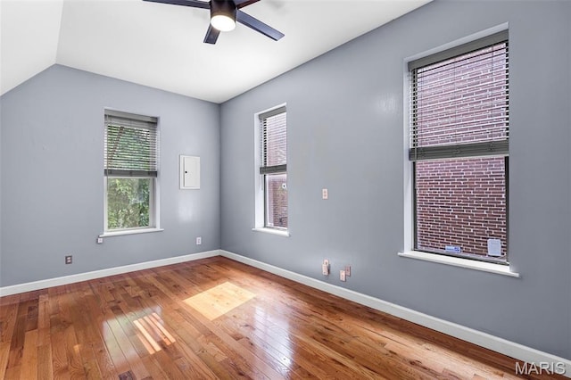 2135 Sidney St, Saint Louis, MO 63104 - photo 13