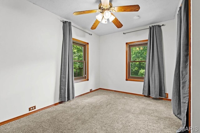 226 Linden Dr, Shiloh, IL 62221 - photo 38