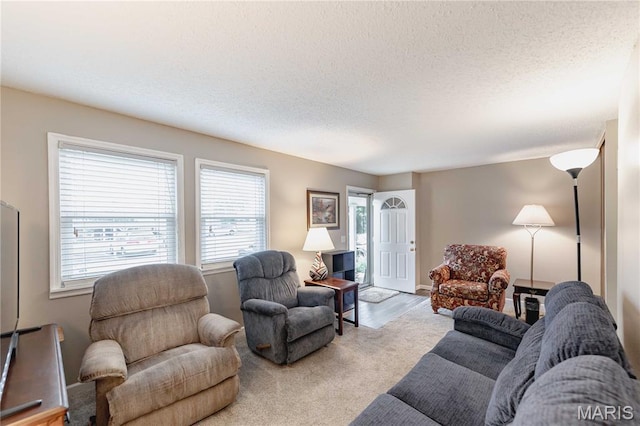 2661 Falcons Way Unit 82, Saint Charles, MO 63303 - photo 11