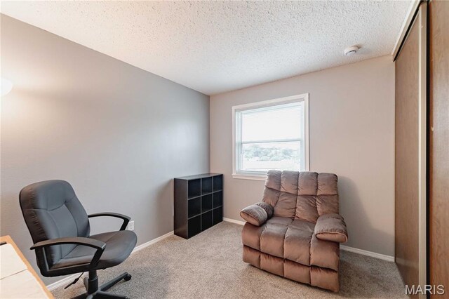 2661 Falcons Way Unit 82, Saint Charles, MO 63303 - photo 12