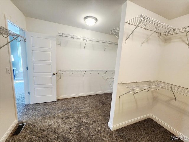 841 Topaz Ct, Mascoutah, IL 62258 - photo 39