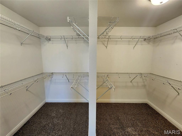 841 Topaz Ct, Mascoutah, IL 62258 - photo 40