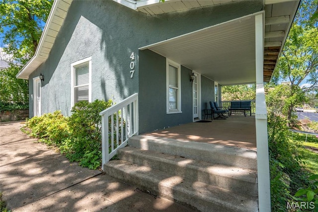 407 W College St, Branson, MO 65616 - photo 6