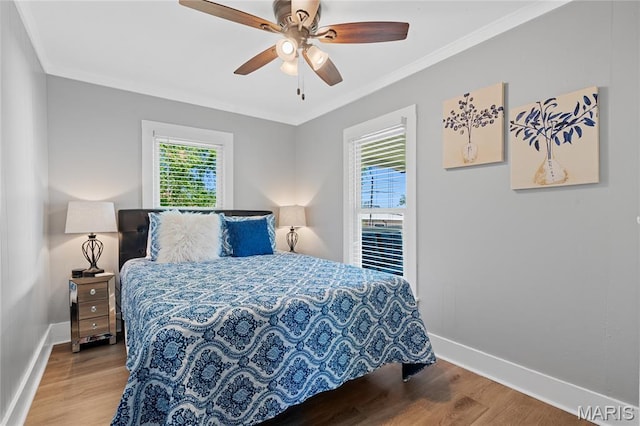 407 W College St, Branson, MO 65616 - photo 27