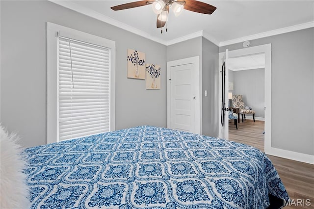 407 W College St, Branson, MO 65616 - photo 28