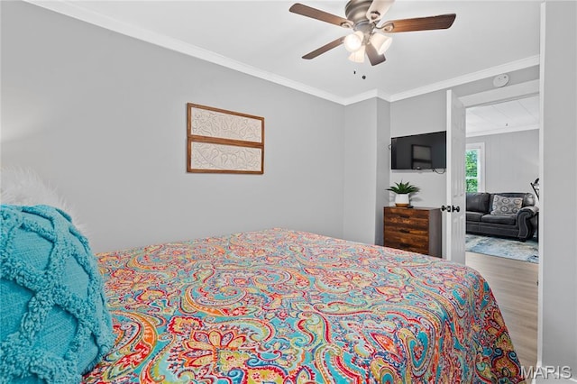 407 W College St, Branson, MO 65616 - photo 29
