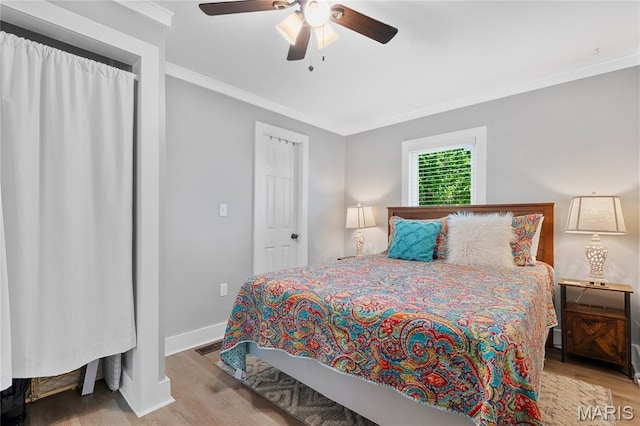 407 W College St, Branson, MO 65616 - photo 32