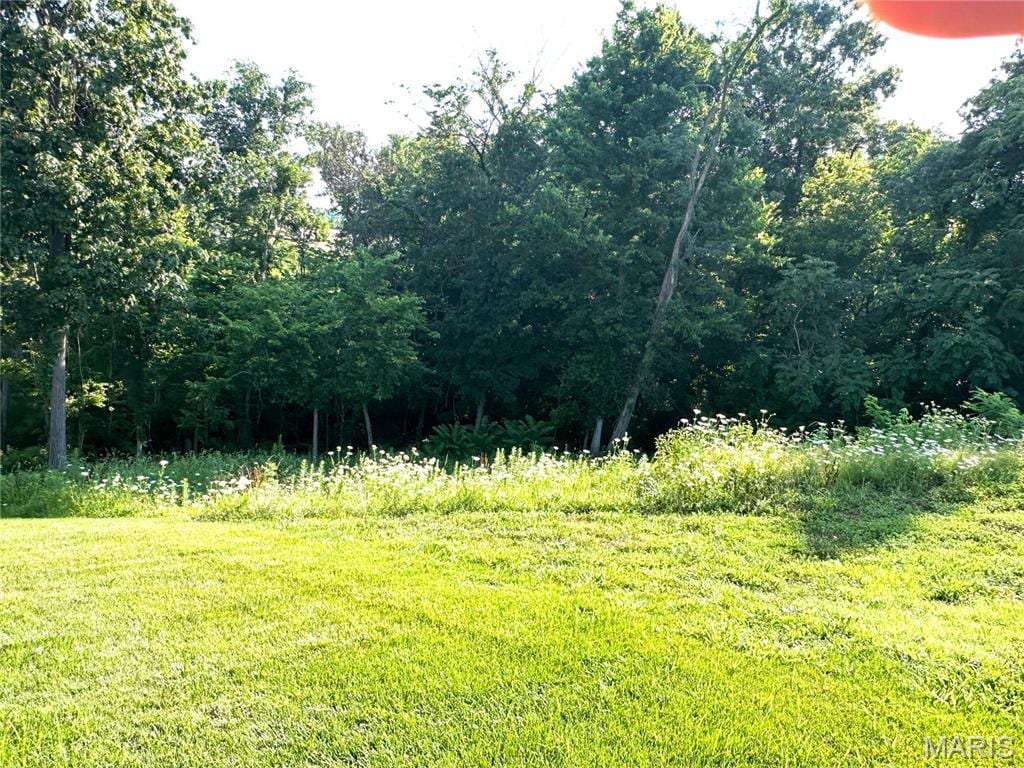 12685 Alberts Laumeier Ct, Sunset Hills, MO 63127 - photo 1