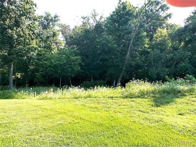 12685 Alberts Laumeier Ct, Sunset Hills, MO 63127 - photo 1