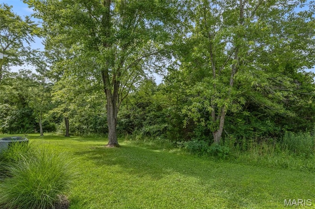 1535 Charmaine Dr, Bonne Terre, MO 63628 - photo 35