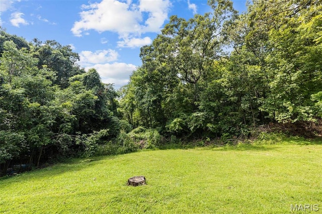 1655 Valley Park Rd, Fenton, MO 63026 - photo 6