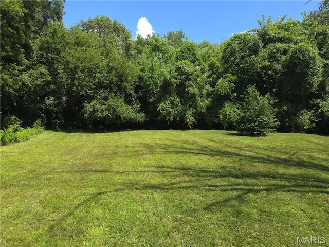 2217 Wendy Way Dr, Belleville, IL 62221 - photo 41