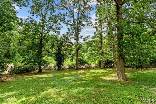 117 Sir Moss Ln, Fenton, MO 63026 - photo 46