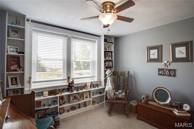 417 Prospect St Unit D, Alton, IL 62002 - photo 32