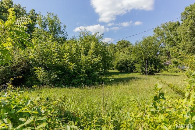 1491 Brice St, Lebanon, MO 65536 - photo 2